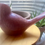 Thumbnail: crystal bird decoration