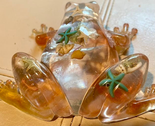 Thumbnail: Clear frog with dark red and seashells
