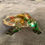 Thumbnail: Clear Resin Frog with Polished Stones in the Mould