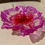 Thumbnail: Purple and red decorative leaf tray