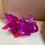 Thumbnail: Purple and red glass resin axolotl
