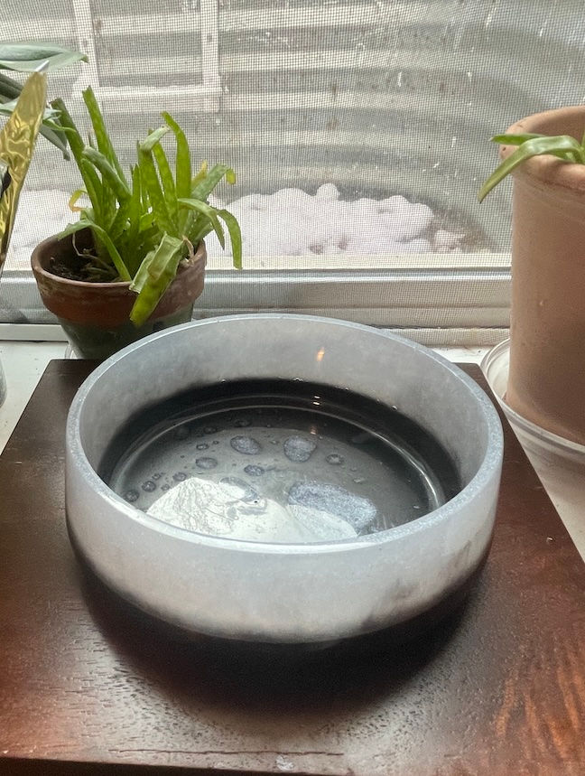 Thumbnail: White and Black Pet Food Bowl