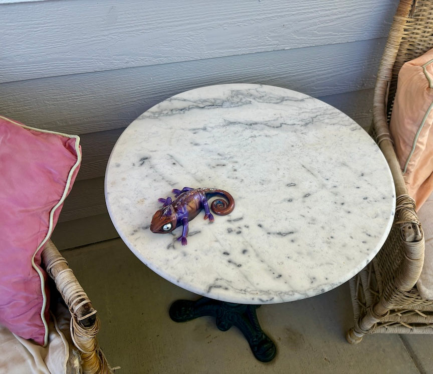 Thumbnail: chameleon on table
