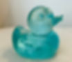 aqua duck