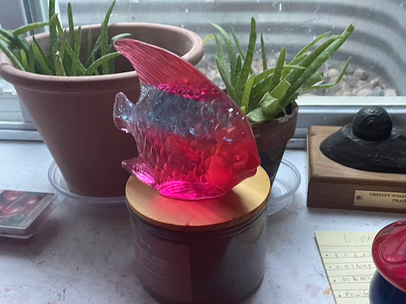 Thumbnail: glass angel fish