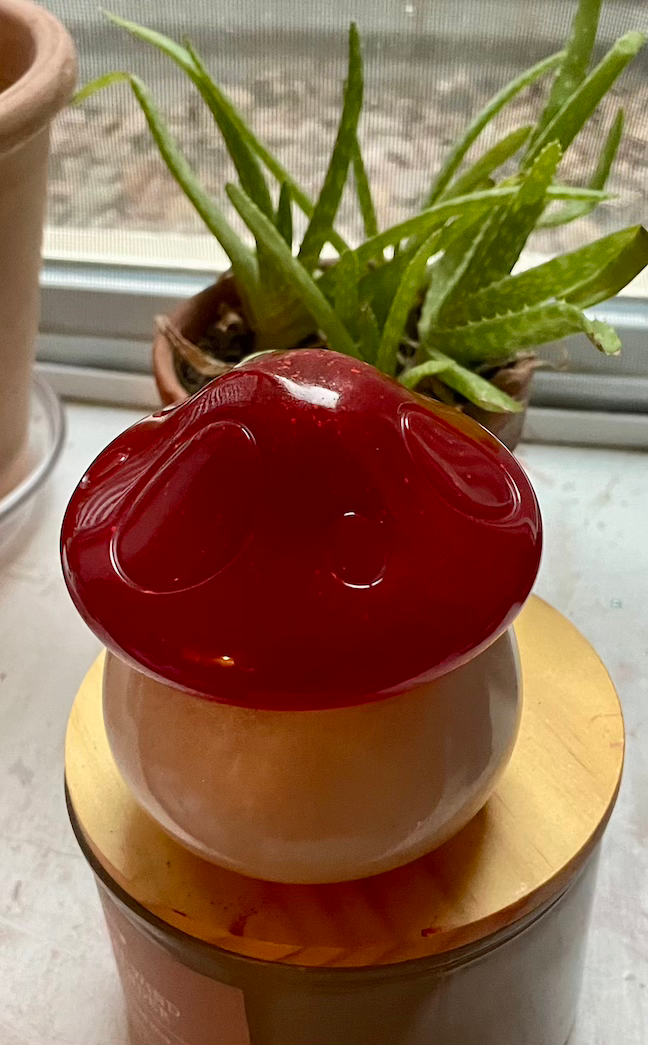 Thumbnail: red top mushroom containter