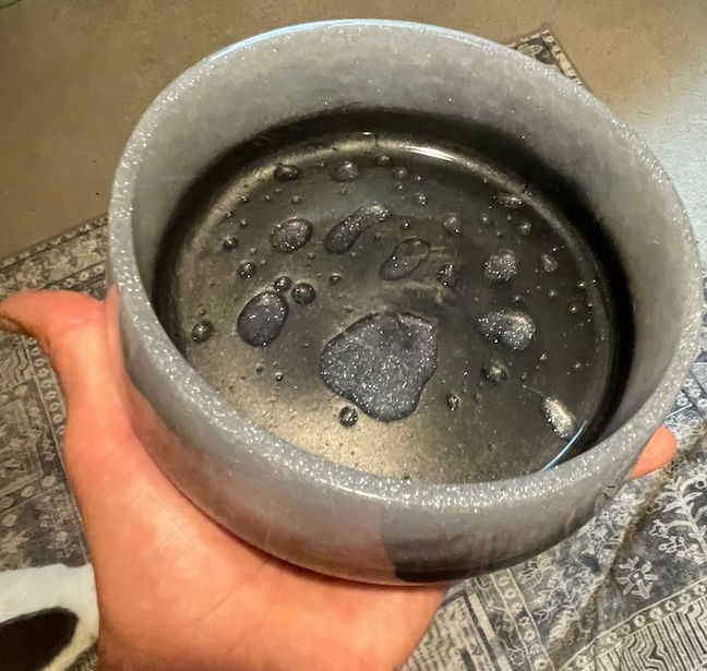 Thumbnail: White and Black Pet Food Bowl
