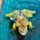 Thumbnail: Frog Decoration - Yellow with flowers