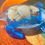 Thumbnail: Blue sea turtle with shells inside
