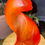 Thumbnail: Bright Orange Cat Figurine