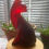 Thumbnail: Red and brown glass resin cat figurine