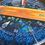 Thumbnail: blue river cribbage board