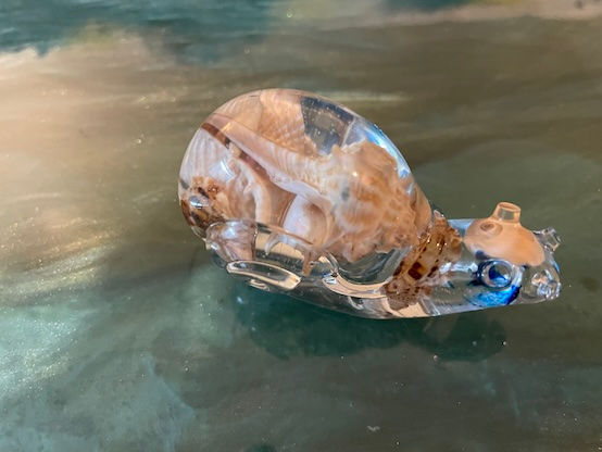 Thumbnail: Clear resin snail with sea shells