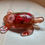 Thumbnail: turtles glass