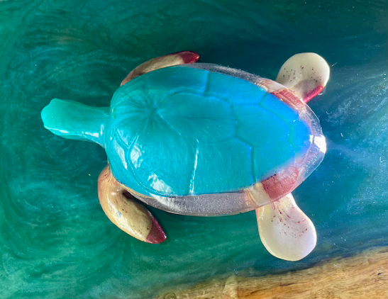 Thumbnail: blue ocean sea turtle
