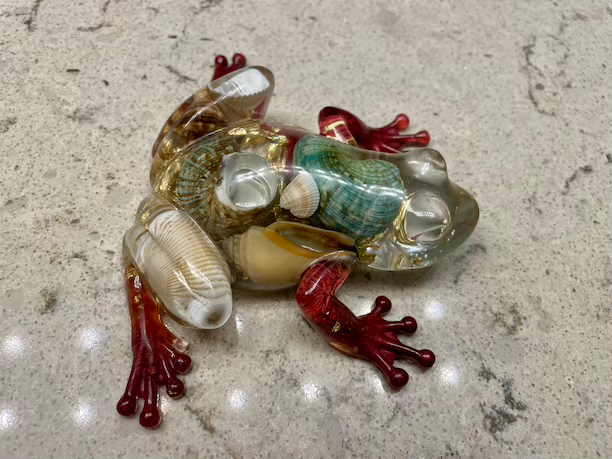 frog shells decoration