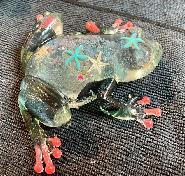 glass frog