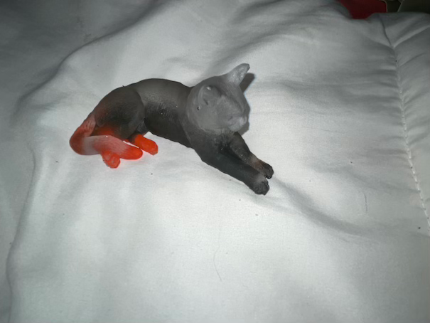 gray cat figurine