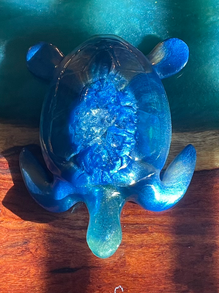 Thumbnail: Turtles -Bright Blue