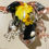 Thumbnail: black yellow frog
