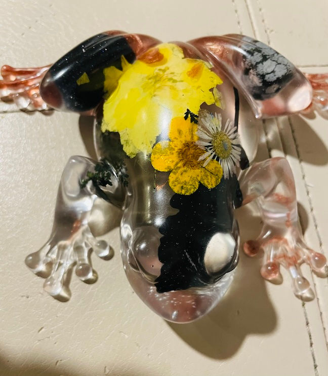 black yellow frog
