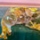 Thumbnail: Clear glass resin frog with real yellow flowers