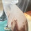 Thumbnail: White and Bronze Frosted Resin Cat Figurine