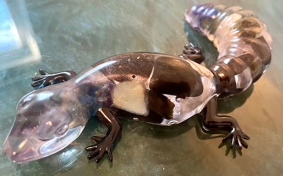 Thumbnail: Clear Resin Lizard with Polished Stones