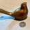 Thumbnail: glass animals bird