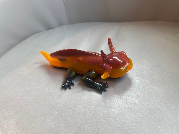 Thumbnail: axolotl orange