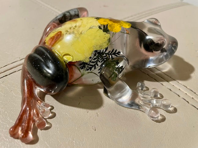 glass frog black yellow