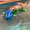 Thumbnail: Resin Lizard - Blue, Green and Clear with Polished Rocks