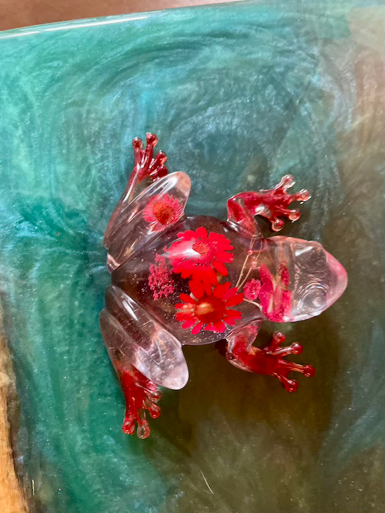 Thumbnail: glass frog red flowers
