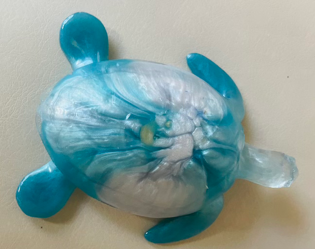 Thumbnail: Turtles - Turquoise and White