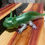 Thumbnail: green axolotl