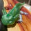 Thumbnail: decoration green axolotl
