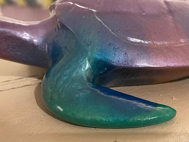 Thumbnail: turtle fin