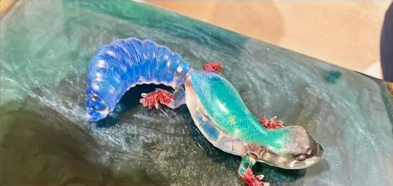 Thumbnail: Green and blue decorative lizard