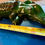 Thumbnail: green alligator