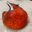 Thumbnail: red fox