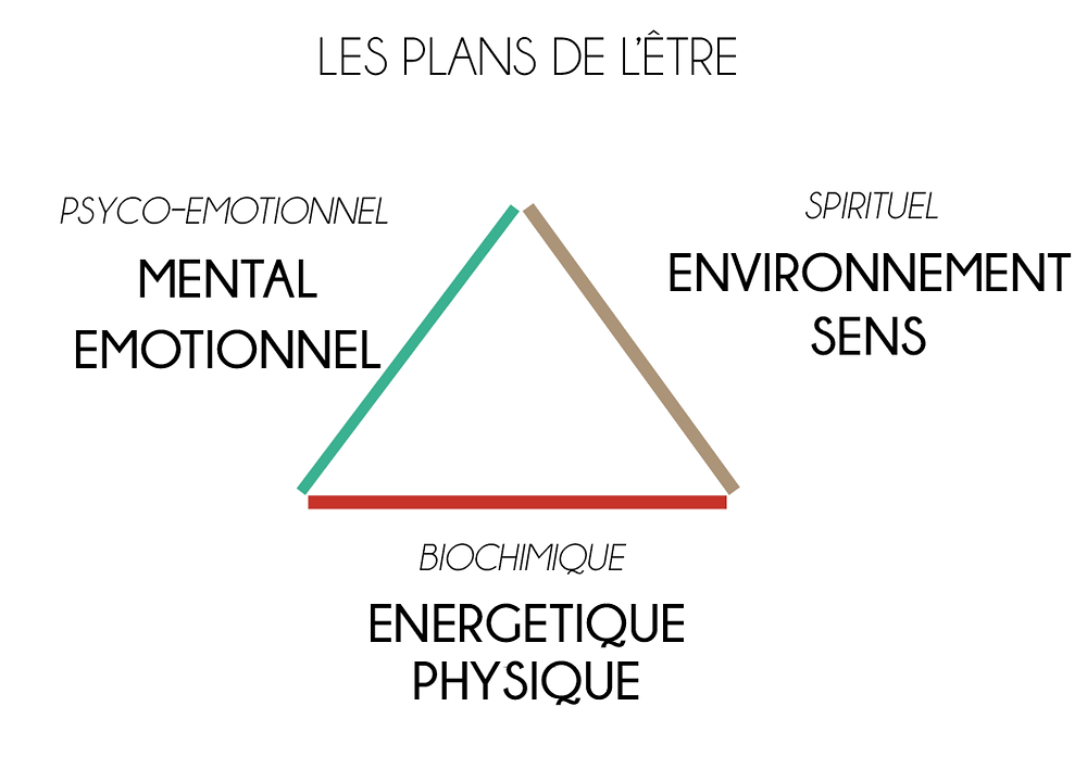 Les plans de l'être naturopathie holistique