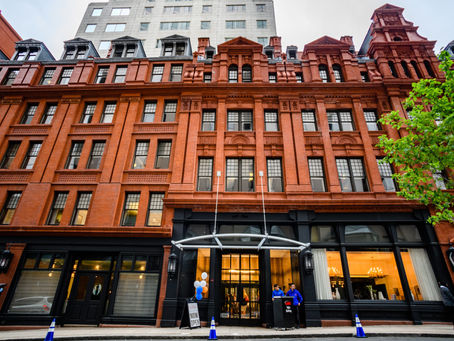 10 Pet Friendly Hotels Hartford (for Cat and Dog Lovers)