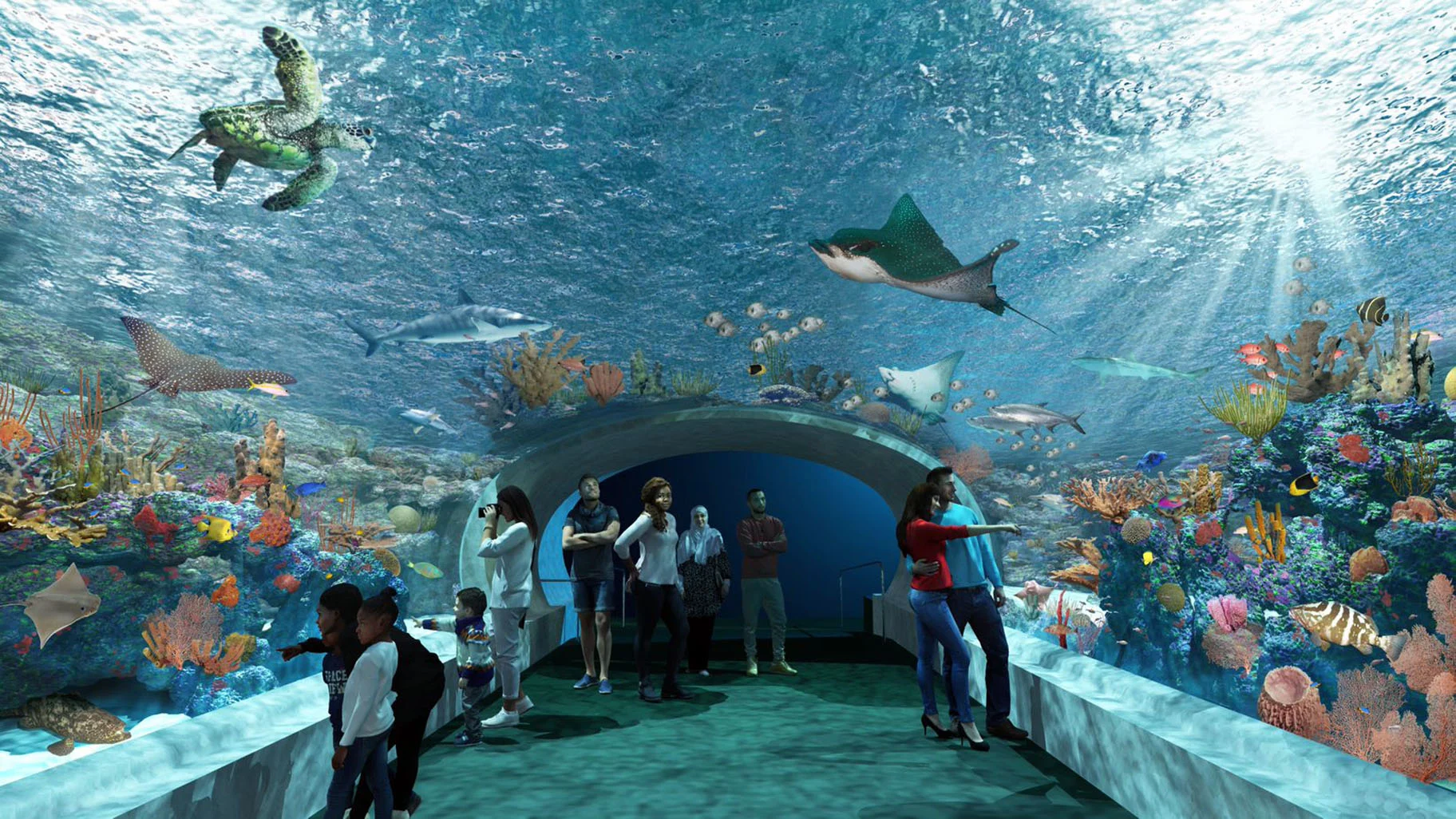 Families at Shedd Aquarium