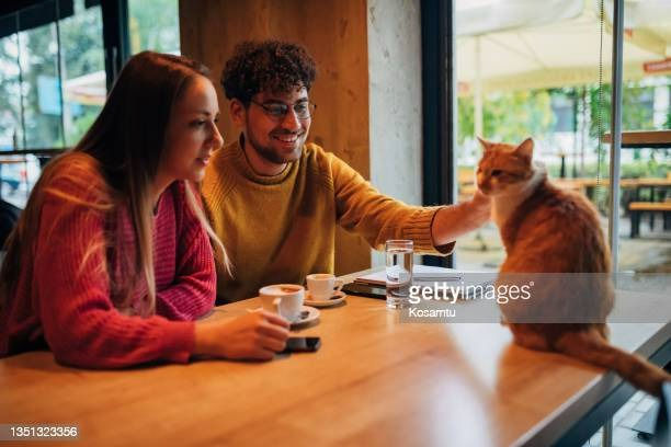 Cat Cafe Couples Date