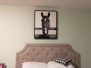 Rise & Shine | My Updated Morning Routine