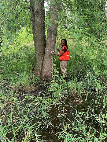 Mia measuring a tree