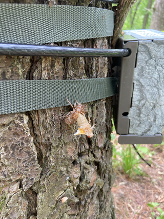 Morgan Watkins: Week 3 Recap