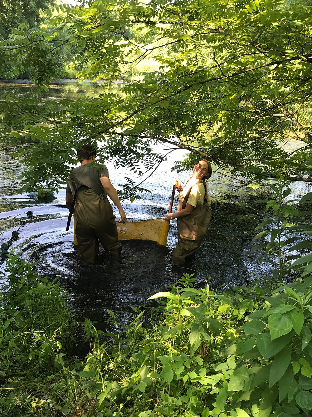 Reece and Taylor using kick seine