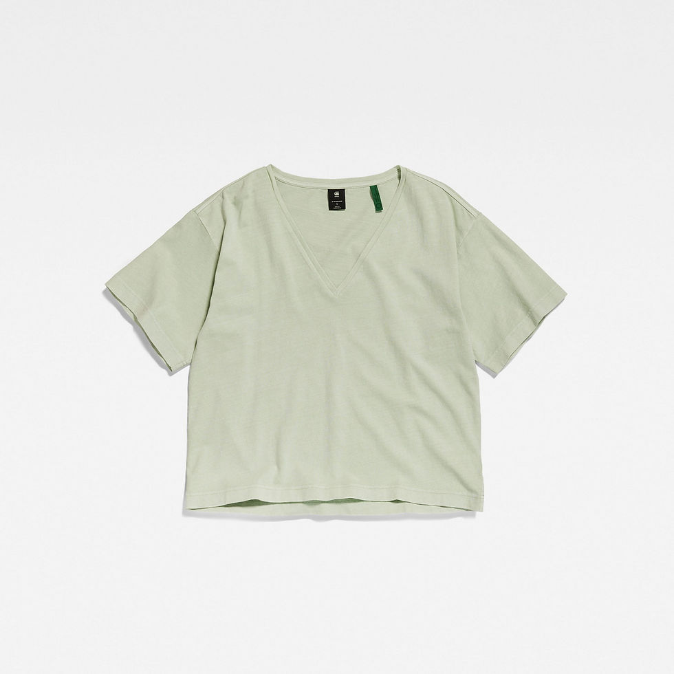 תמונה ממוזערת: Overdyed deep v loose t wmn