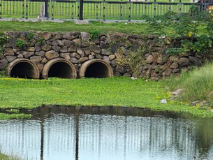 Professional Stormwater